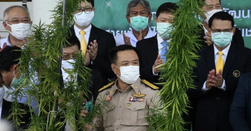 စကိုဗစ်လူနာရဲ့ အဆုတ်ကို ပြန်ကောင်းစေမယ့် ဆေးဝါးအဖြစ် စမ်းသပ်နေတဲ့ ဆေးခြောက်ပင်