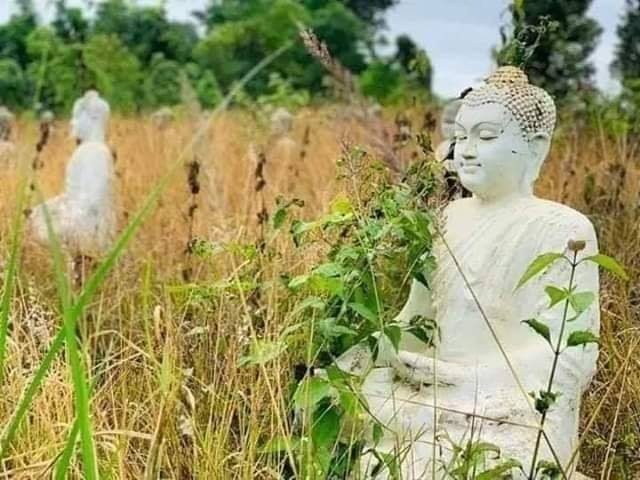 စသဘာဝထိန်းသိမ်းရေး နယ်မြေများကို နိုင်ငံဧရိယာ၏ ၁၀% ဖြစ်လာစေရန် လုပ်ဆောင်