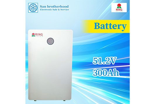 Ring Solar Battery 51.2V 300Ah