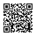 QR code for AA Electronics Ltd. listing