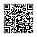 QR code for Avion Link Travel listing