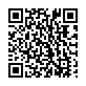 QR code for Denko listing