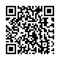 QR code for H & Z listing