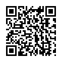 QR code for Happy Zone listing