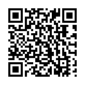 QR code for Lamin listing