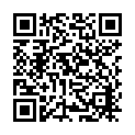 QR code for Mega Paint listing