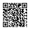 QR code for N 4 listing