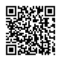 QR code for Pro-Arc listing