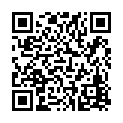 QR code for PV Car Rental listing