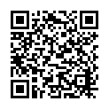 QR code for Pyae Wa listing