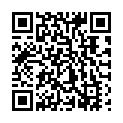 QR code for S & Z listing