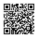 QR code for Shwe San Chain listing