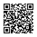 QR code for Soe Thein & Brothers listing