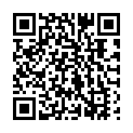 QR code for V & S listing