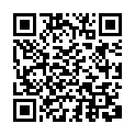 QR code for Wow Balloons listing
